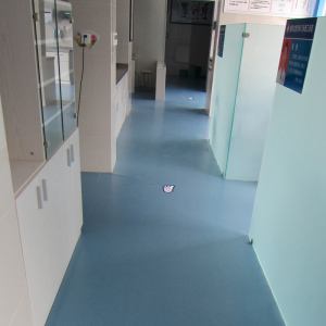  PVC地板 (2)